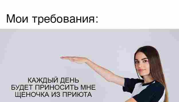 Президент на встрече со школьниками поддержал предложение одной из участниц создать карту приютов для…