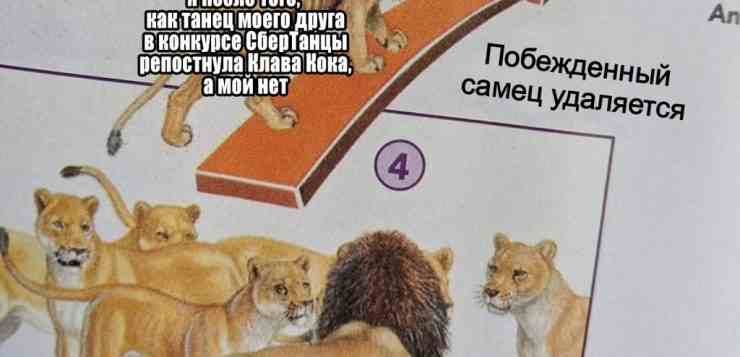 Воу, стоп. Не делай резких движений! Делай плавные и запиши еще один танец. В…