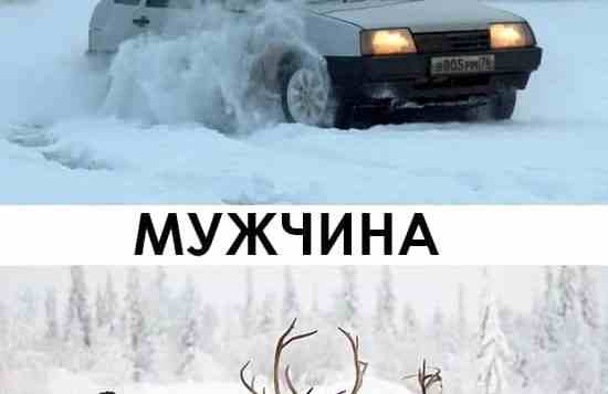 В Югре открылся Всемирный конгресс оленеводов с участием регионов России