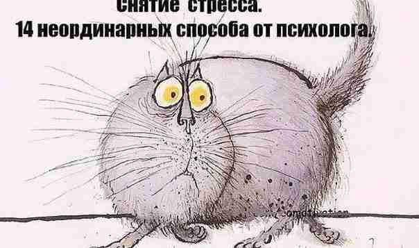 14 неординарных способов от психолога Специалист рекомендует: . 1. Расческа В течение рабочего дня,…