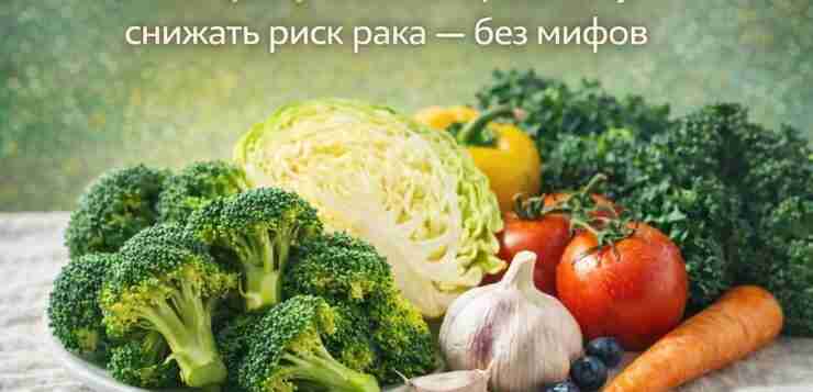 🥦 Топ продуктов, которые могут снижать риск рака — без мифов Питание действительно влияет…