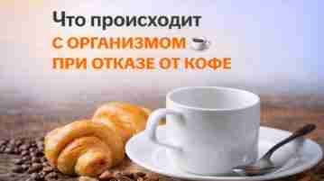 Что происходит с организмом при отказе от кофе Если человек регулярно пьёт много кофе…