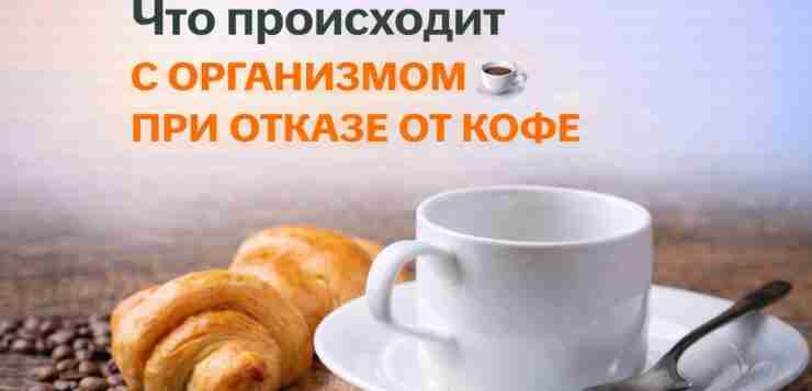 Что происходит с организмом при отказе от кофе Если человек регулярно пьёт много кофе…