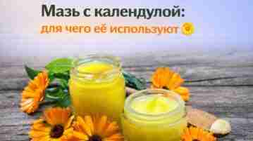 Мазь с календулой: для чего её используют Календула известна своими противовоспалительными и заживляющими свойствами,…