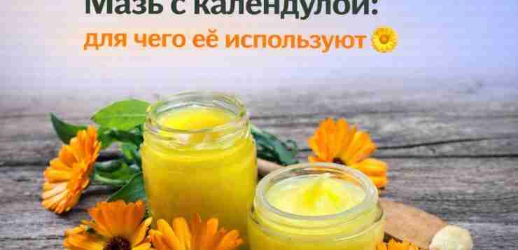 Мазь с календулой: для чего её используют Календула известна своими противовоспалительными и заживляющими свойствами,…