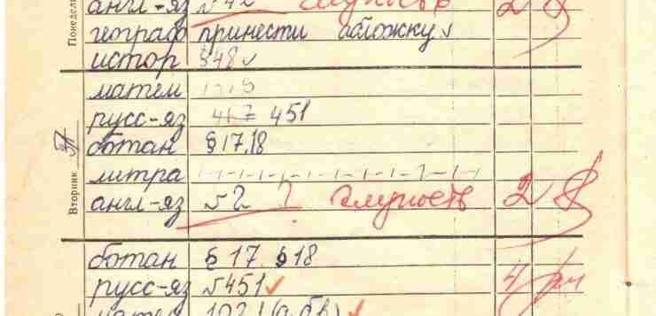 В одном родительском паблике мама написала пост. Подпись: «Дочь в 7 классе. Каждый день…