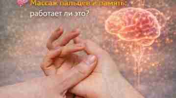 🧠 Массаж пальцев и память: работает ли это? Идея «точек для мозга» звучит привлекательно,…