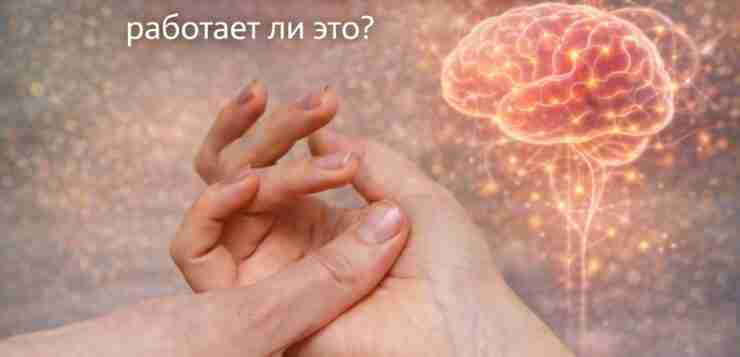 🧠 Массаж пальцев и память: работает ли это? Идея «точек для мозга» звучит привлекательно,…