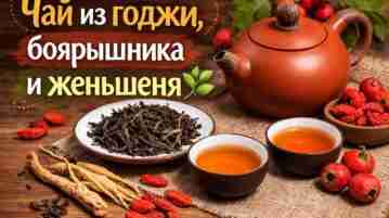 Чай из годжи, боярышника и женьшеня В традиционной восточной фитотерапии часто используют сочетания ягод…