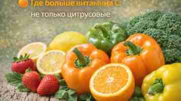 Где больше витамина C: не только цитрусовые Многие уверены, что главный источник витамина C…