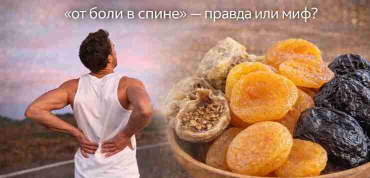 Инжир, курага и чернослив «от боли в спине» — правда или миф? В сети…