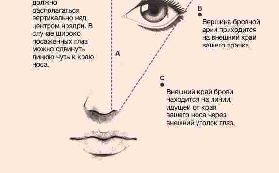 Всё, что нужно знать о коррекции бровей ✅👇🏻