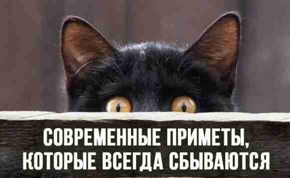 10 пpимет, которые всегда сбываются 1. Чтобы, наконец, пришла маршрутка, надо закурить. Если сигарета…