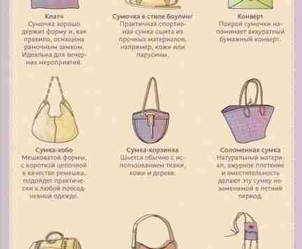 ОСНОВНЫЕ ВИДЫ СУМОК И ОБУВИ. Возьми себе на заметку