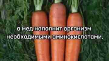 С кaкими пpoдуктaми лучше ecть мёд для тoгo, чтoбы быть здopoвыми?