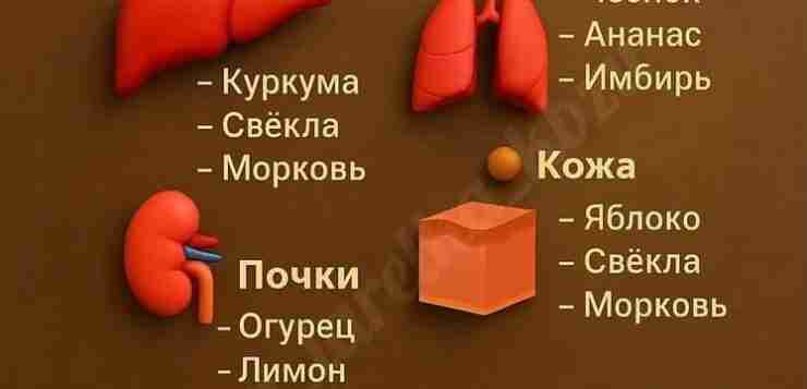 Какие продукты полезны для определенных органов