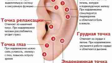 Массаж ушей Воздействуя на биологически активные точки на ухе Вы сможете взбодриться, вылечиться и…