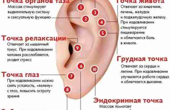 Массаж ушей Воздействуя на биологически активные точки на ухе Вы сможете взбодриться, вылечиться и…