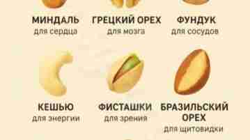 Любите орехи?