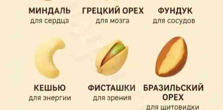 Любите орехи?