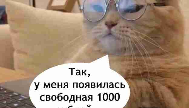 Ну такие инвестиции мы тоже очень уважаем!