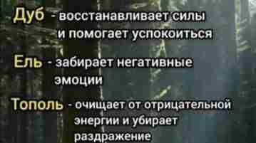 Обнимите уже сегодня!