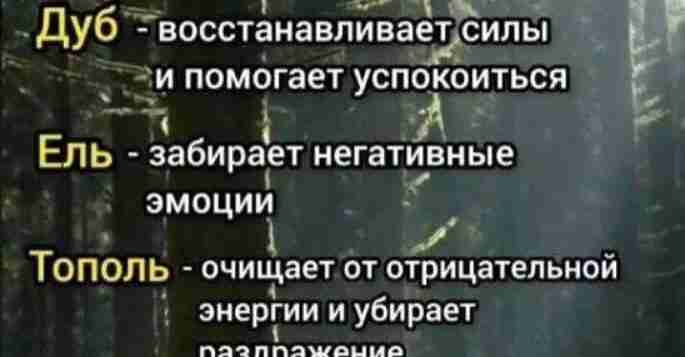 Обнимите уже сегодня!