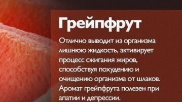 О пользе овощей и фруктов