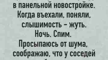 Вот это соседи