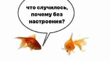 Немного о моей тревожности