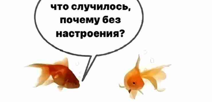 Немного о моей тревожности