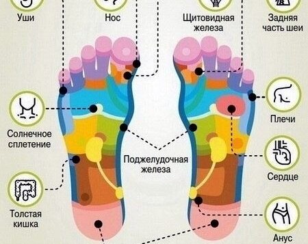 СТАРОСТЬ НАЧИНАЕТСЯ С НОГ Согласно канонам древнекитайской медицины, именно на пятках расположены активные точки,…