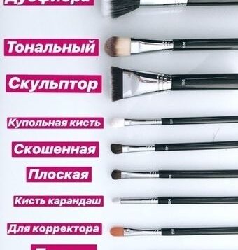 Гид по кистям