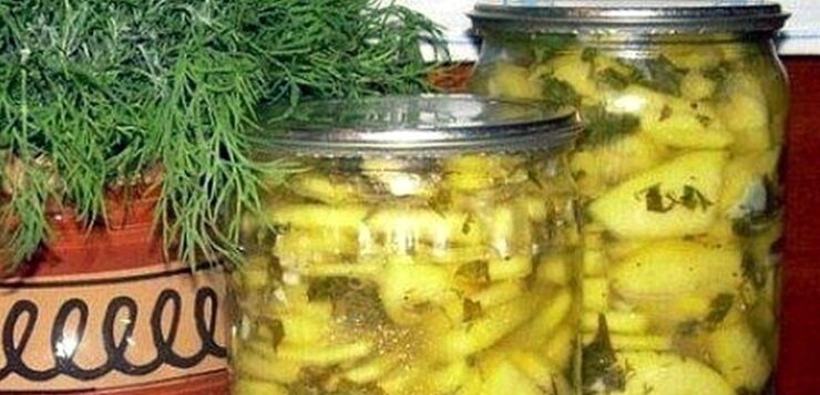 КАБАЧКИ В ОСТРО-ЧЕСНОЧНОЙ ЗАЛИВКЕ Такие кабачки в остро-чесночной заливке будут отличным вариантом закуски на…