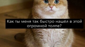 Это точно уже был перебор