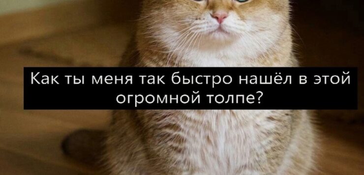 Это точно уже был перебор
